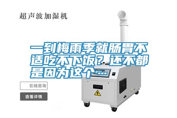 一到梅雨季就腸胃不適吃不下飯？還不都是因為這個…