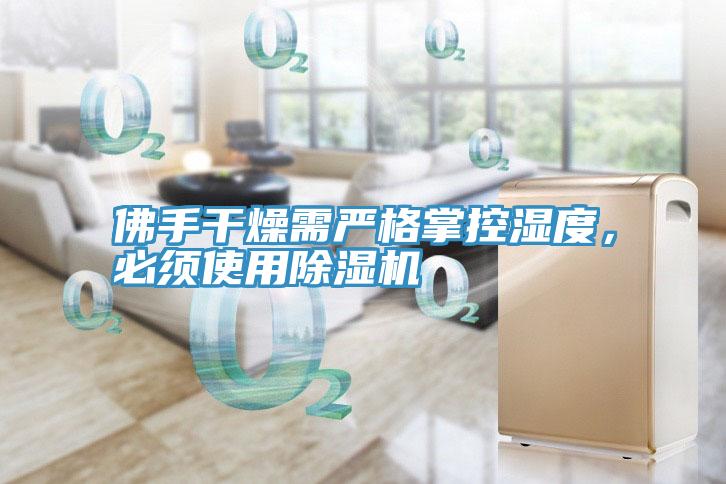 佛手干燥需嚴格掌控濕度，必須使用除濕機