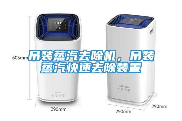 吊裝蒸汽去除機(jī)，吊裝蒸汽快速去除裝置