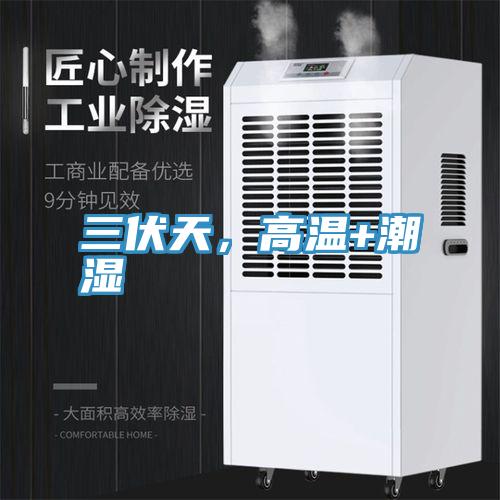 三伏天，高溫+潮濕