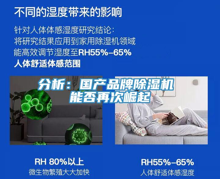 分析：國產品牌除濕機 能否再次崛起