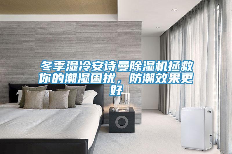 冬季濕冷安詩(shī)曼除濕機(jī)拯救你的潮濕困擾，防潮效果更好