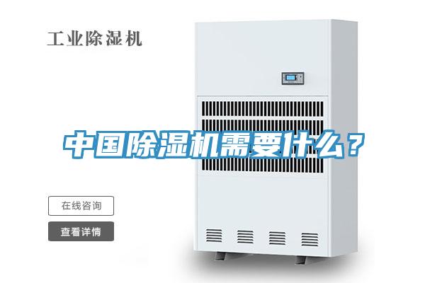 中國除濕機需要什么？