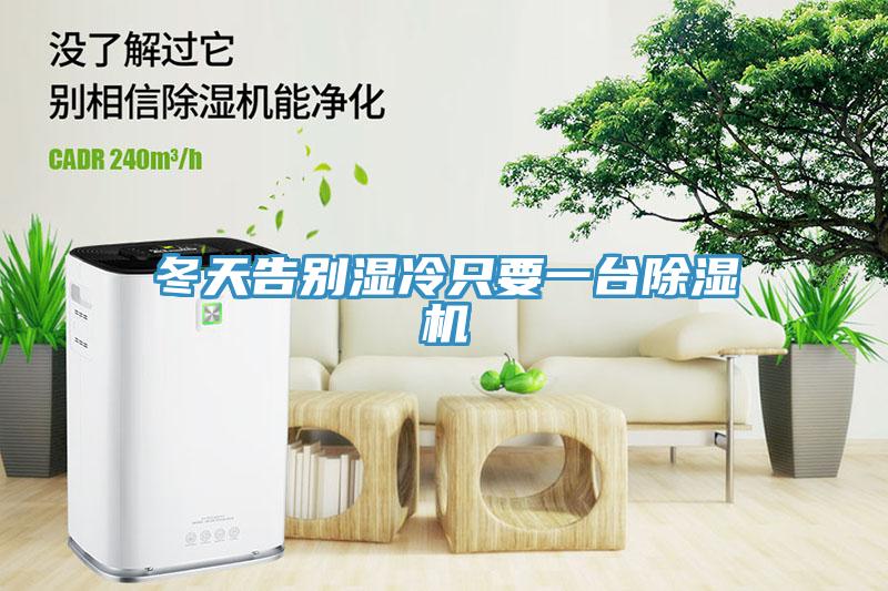 冬天告別濕冷只要一臺(tái)除濕機(jī)