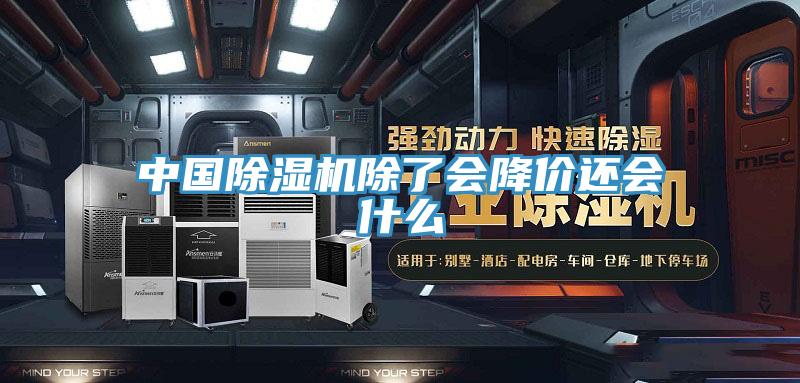 中國除濕機除了會降價還會什么