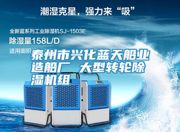 泰州市興化藍天船業(yè)造船廠 大型轉輪除濕機組