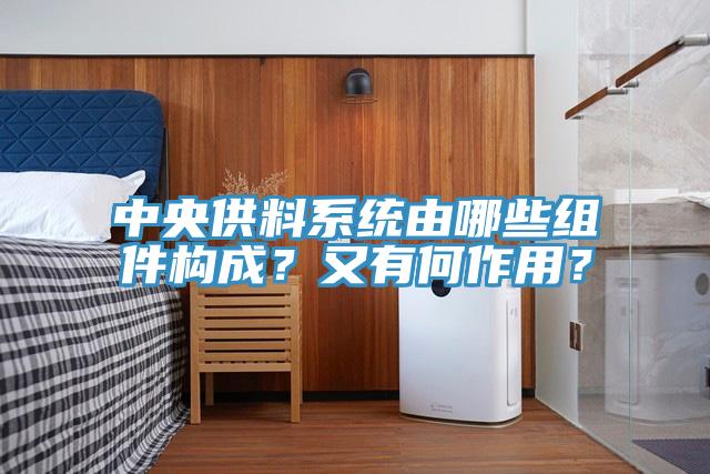 中央供料系統(tǒng)由哪些組件構(gòu)成？又有何作用？