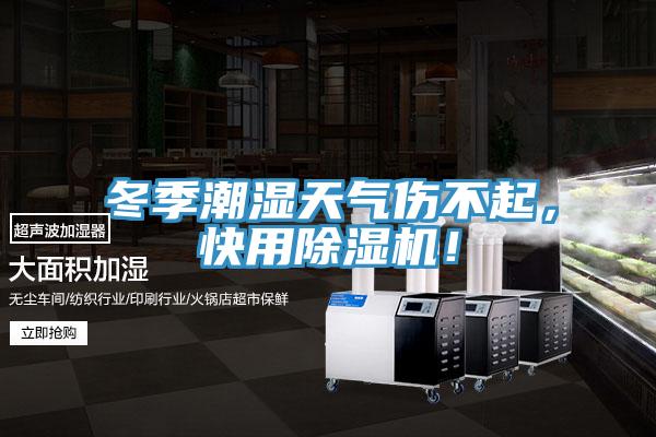 冬季潮濕天氣傷不起，快用除濕機(jī)！