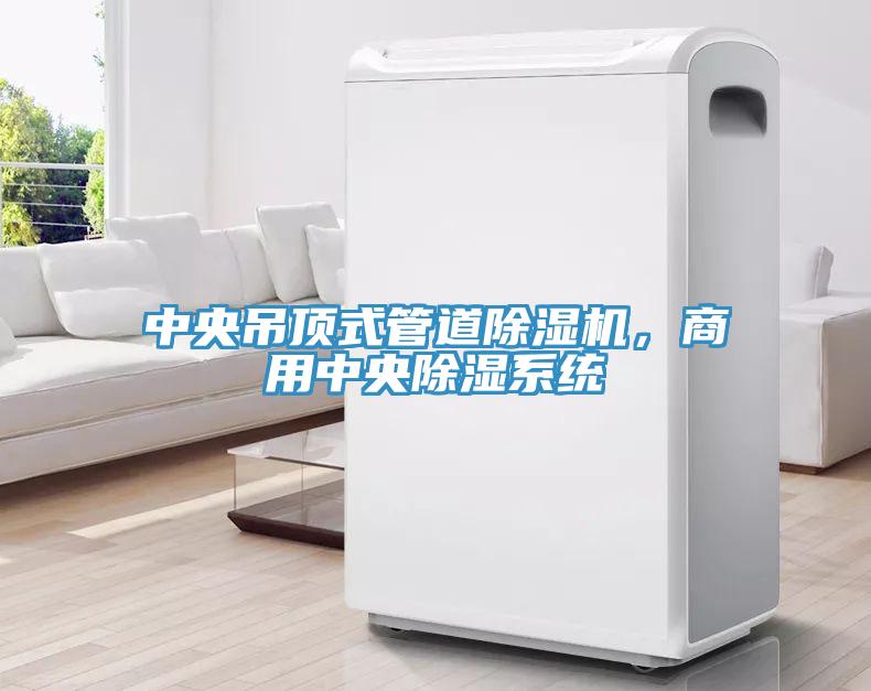 中央吊頂式管道除濕機(jī)，商用中央除濕系統(tǒng)
