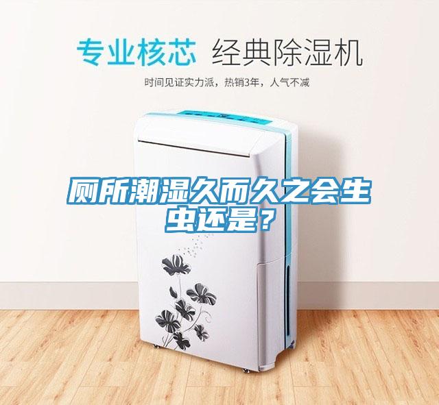 廁所潮濕久而久之會(huì)生蟲還是？