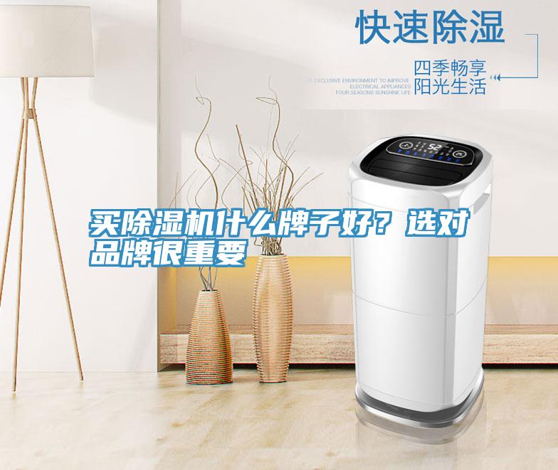 買除濕機什么牌子好？選對品牌很重要