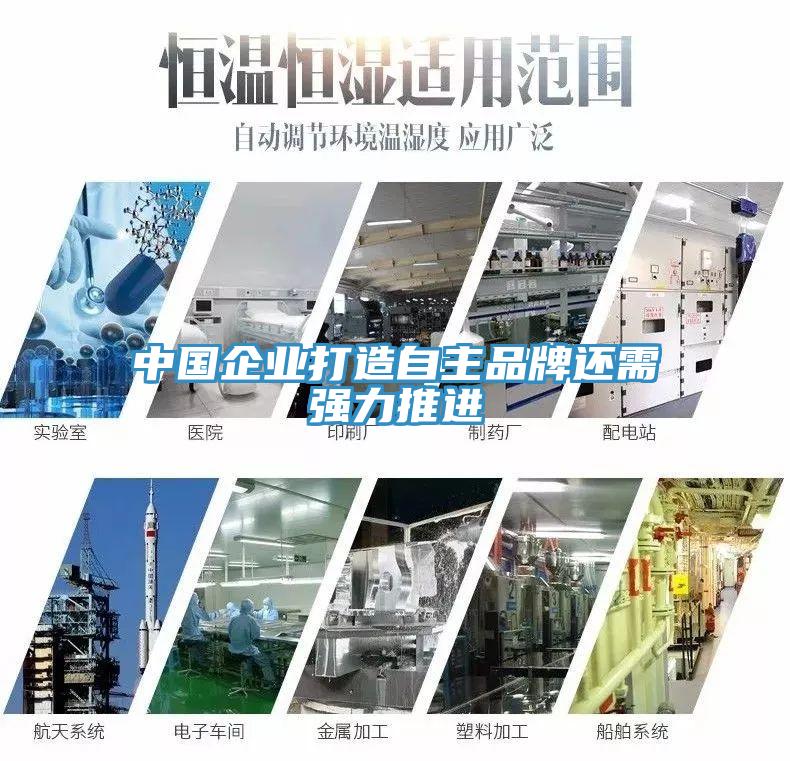 中國企業打造自主品牌還需強力推進