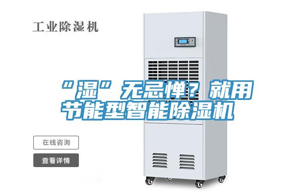 “濕”無忌憚？就用節能型智能除濕機