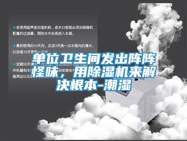 單位衛生間發出陣陣怪味，用除濕機來解決根本-潮濕