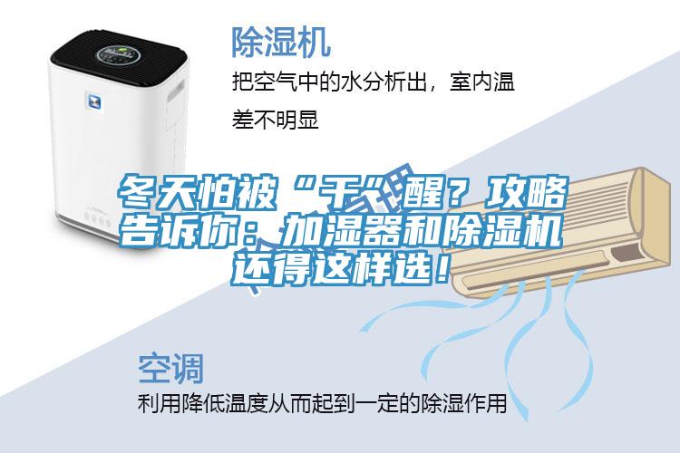 冬天怕被“干”醒？攻略告訴你：加濕器和除濕機(jī)還得這樣選！