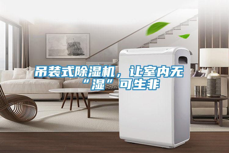 吊裝式除濕機，讓室內無“濕”可生非