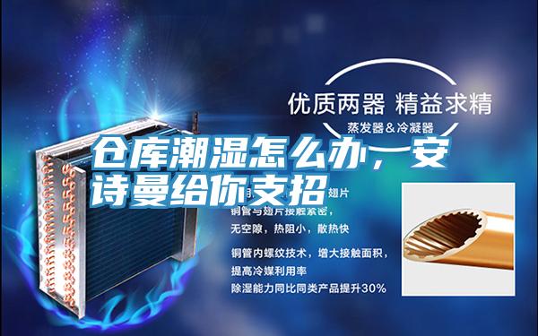 倉(cāng)庫(kù)潮濕怎么辦,安詩(shī)曼給你支招