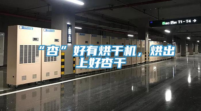 “杏”好有烘干機，烘出上好杏干