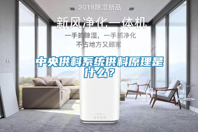 中央供料系統供料原理是什么？