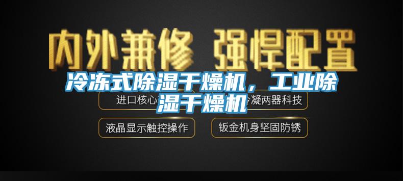冷凍式除濕干燥機，工業除濕干燥機