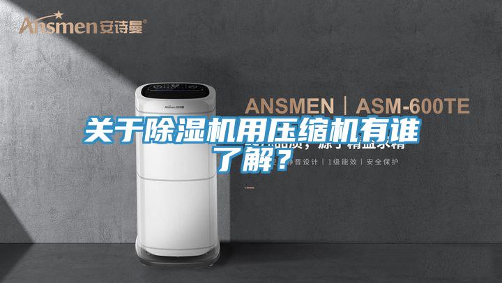 關(guān)于除濕機用壓縮機有誰了解？