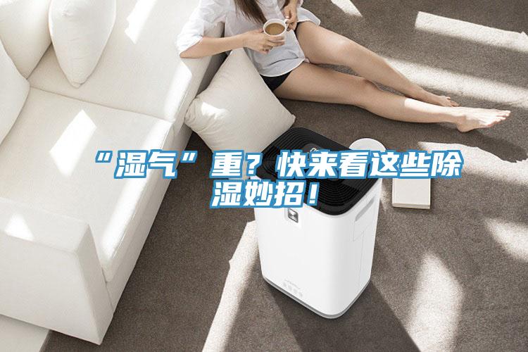 “濕氣”重？快來看這些除濕妙招！