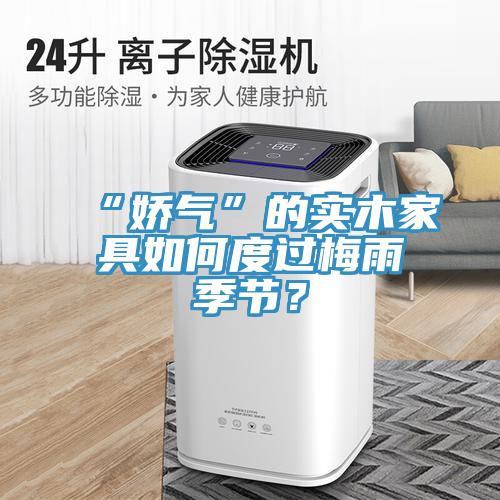 “嬌氣”的實木家具如何度過梅雨季節？