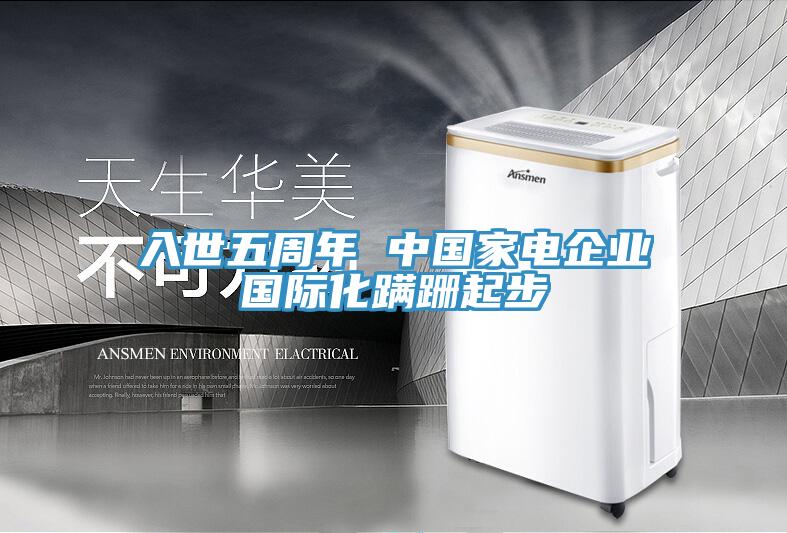 入世五周年 中國家電企業國際化蹣跚起步