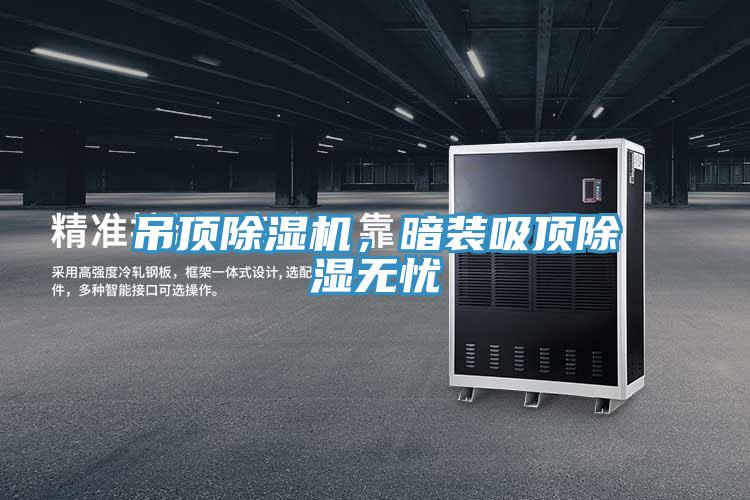 吊頂除濕機,暗裝吸頂除濕無憂