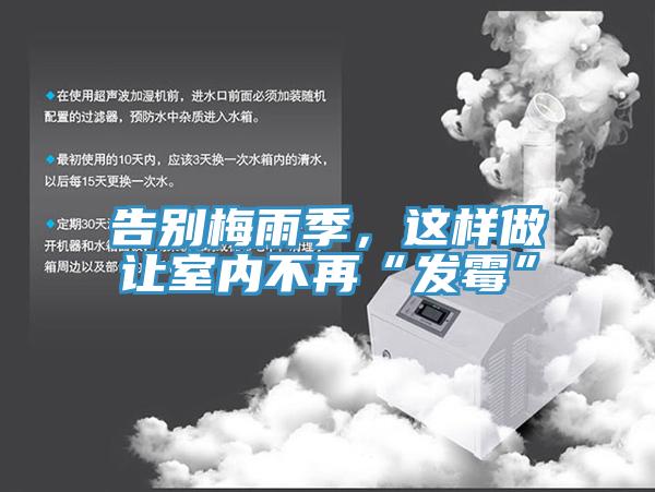 告別梅雨季,這樣做讓室內不再“發霉”