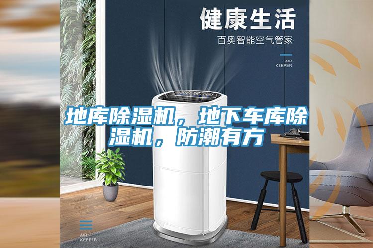 地庫除濕機，地下車庫除濕機，防潮有方