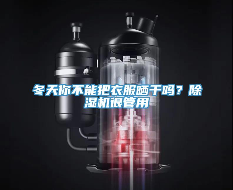 冬天你不能把衣服曬干嗎？除濕機(jī)很管用