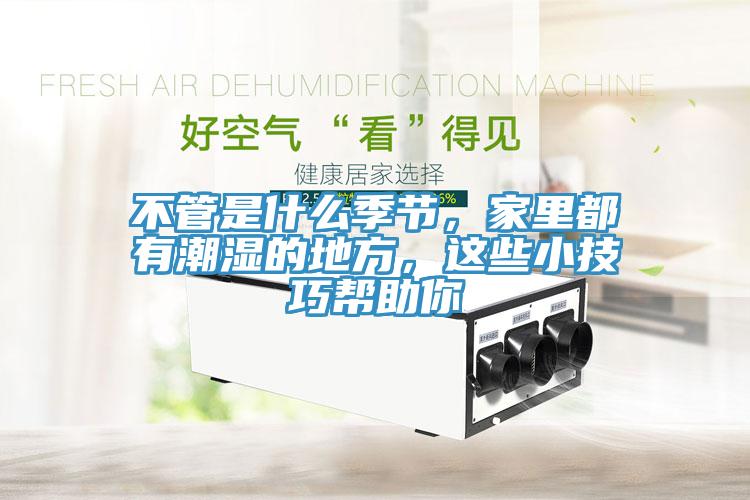 不管是什么季節(jié)，家里都有潮濕的地方，這些小技巧幫助你