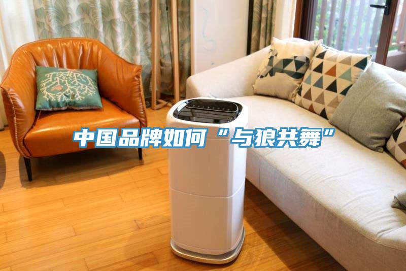 中國品牌如何“與狼共舞”