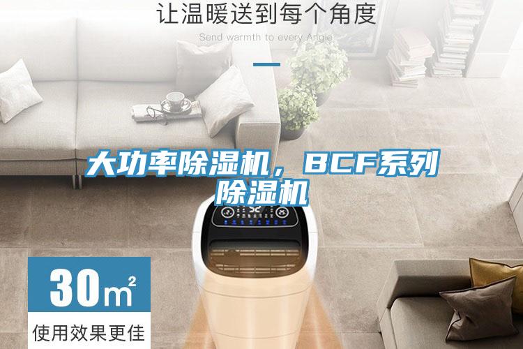 大功率除濕機，BCF系列除濕機