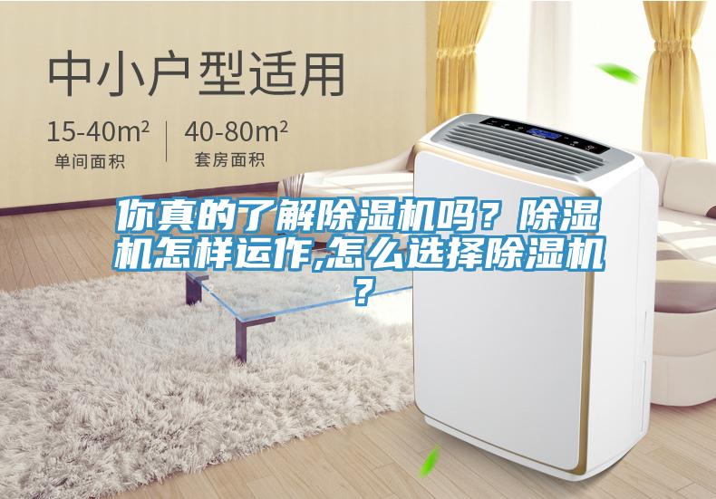 你真的了解除濕機嗎？除濕機怎樣運作,怎么選擇除濕機？