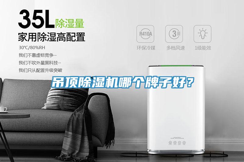 吊頂除濕機哪個牌子好？