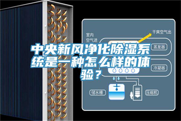 中央新風凈化除濕系統是一種怎么樣的體驗？