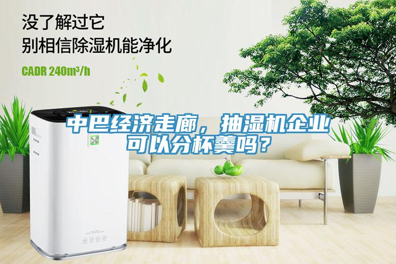 中巴經濟走廊，抽濕機企業可以分杯羹嗎？