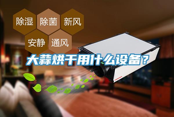 大蒜烘干用什么設備?