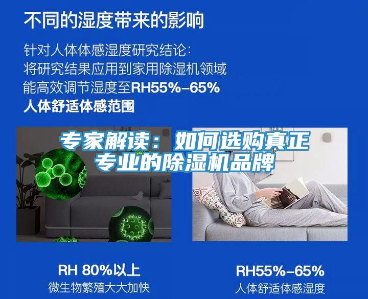 專家解讀：如何選購真正專業的除濕機品牌