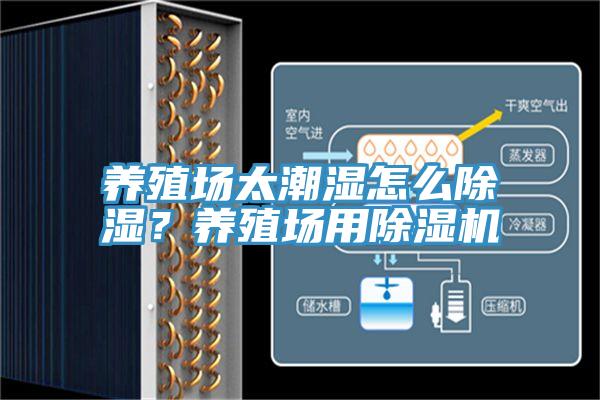 養殖場太潮濕怎么除濕？養殖場用除濕機
