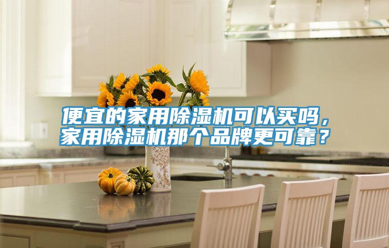 便宜的家用除濕機可以買嗎，家用除濕機那個品牌更可靠？