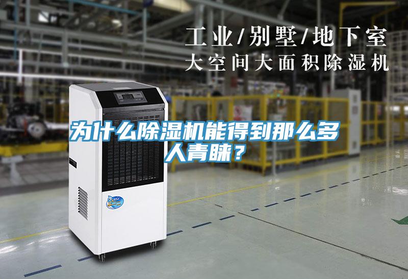 為什么除濕機能得到那么多人青睞？