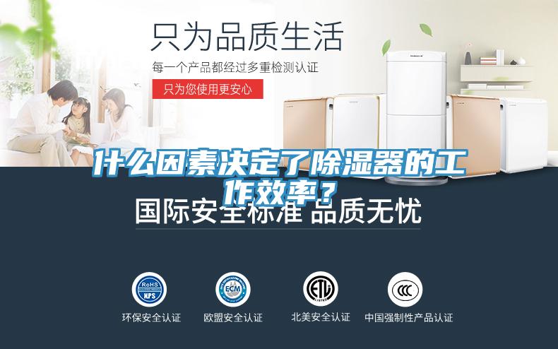 什么因素決定了除濕器的工作效率?