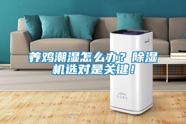 養雞潮濕怎么辦？除濕機選對是關鍵！