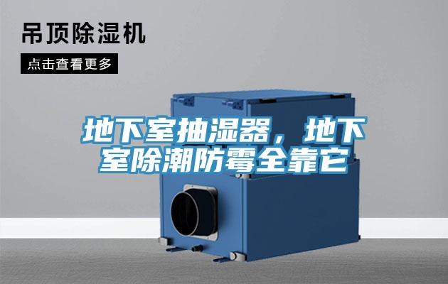 地下室抽濕器，地下室除潮防霉全靠它