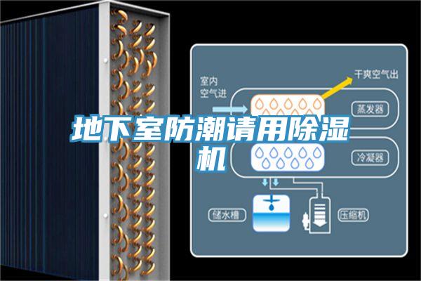 地下室防潮請用除濕機(jī)