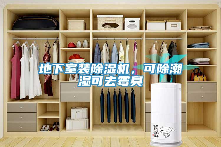 地下室裝除濕機,可除潮濕可去霉臭