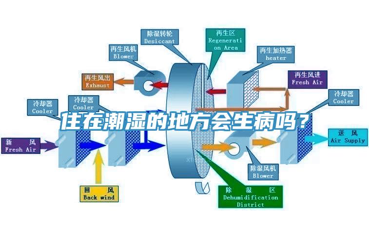 住在潮濕的地方會生病嗎？